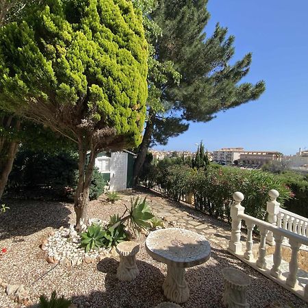 Encantadora Villa Con Piscina En Playa Flamenca Alicante Exterior photo